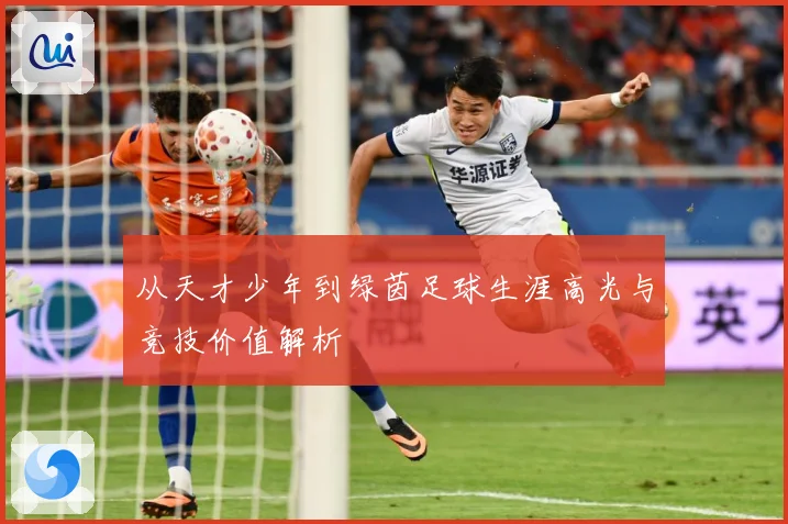 从天才少年到绿茵足球生涯高光与竞技价值解析