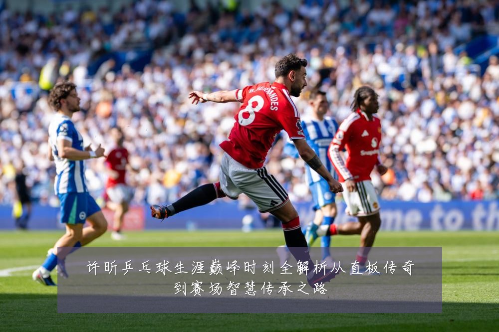 许昕乒乓球生涯巅峰时刻全解析从直板传奇到赛场智慧传承之路