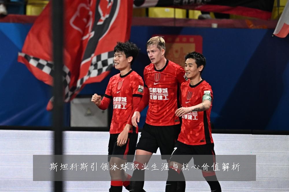 斯坦科斯引领冰球职业生涯与核心价值解析